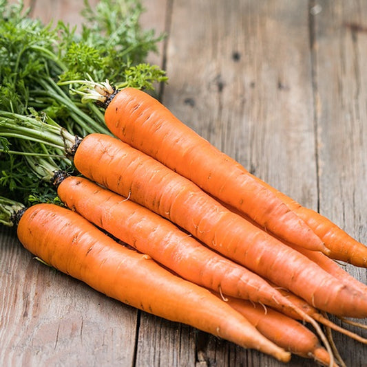 Carrot Seed Essential Oil: A Natural Elixir for Nourished Skin